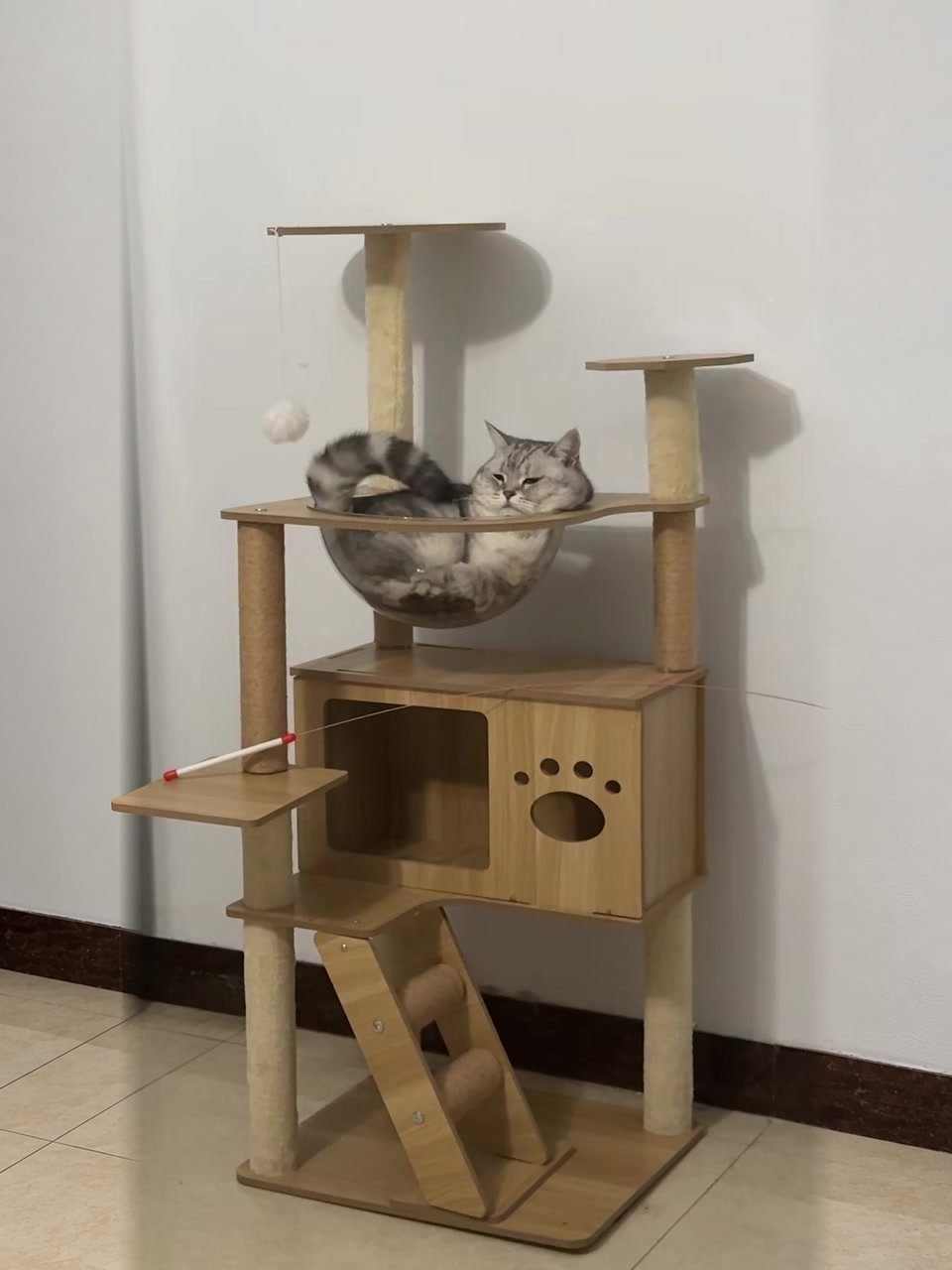 Cat resting in a clear bowl on a wooden cat tree