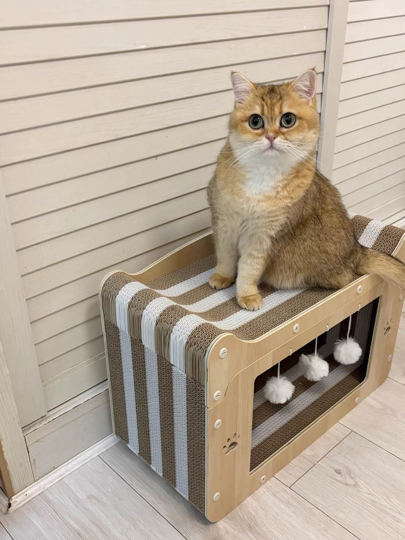 Indoor cat house entrances and openings