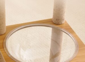 Transparent cat bowl detail