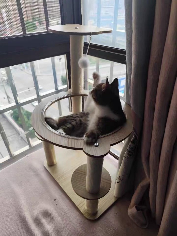 Cat playing on a wooden cat tree beside a window