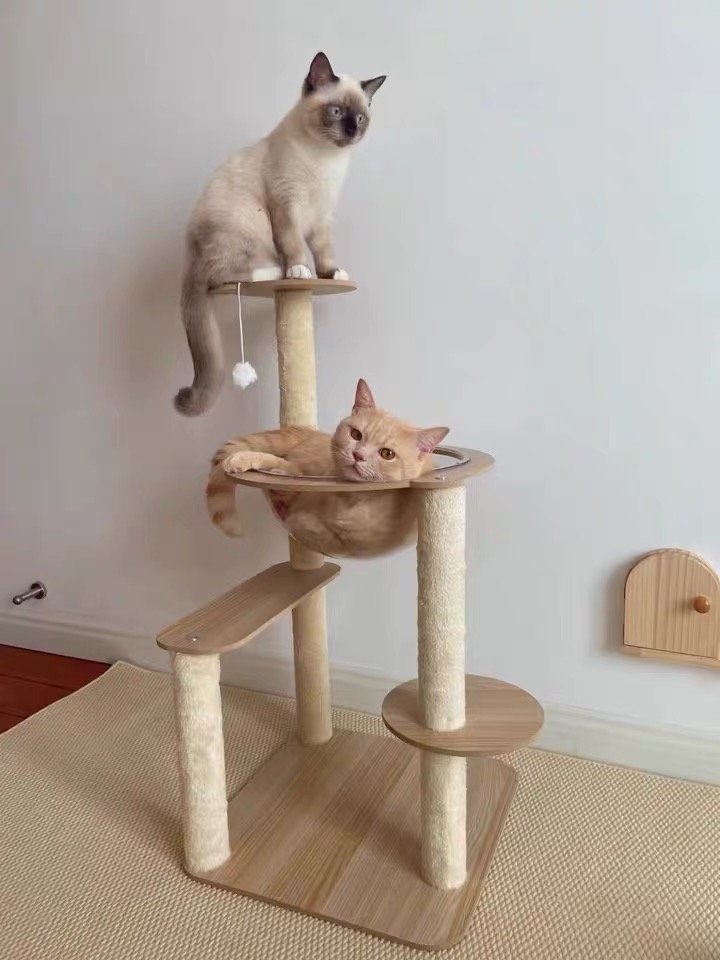 Two cats resting on a wooden cat tower at home